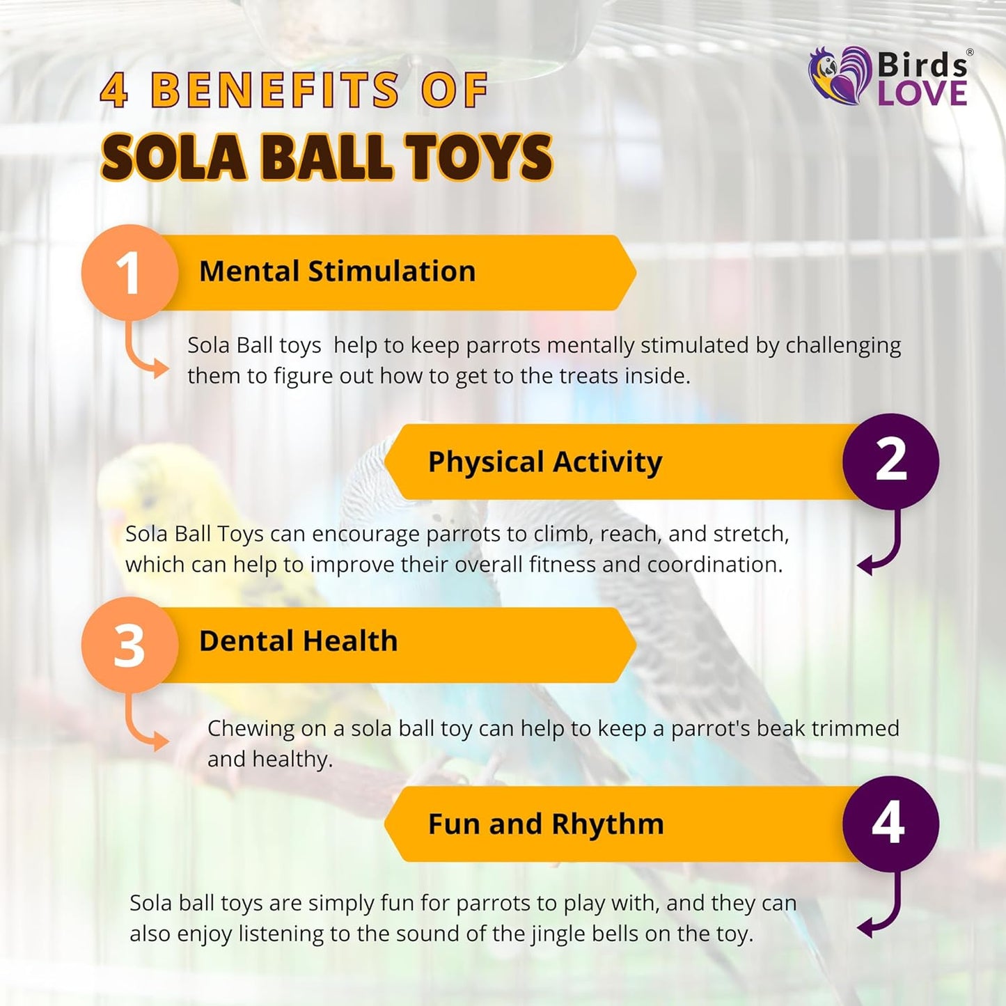 Birds LOVE Hanging Sola Balls Yum Yum with Hanging Bell (2 Sola Balls)