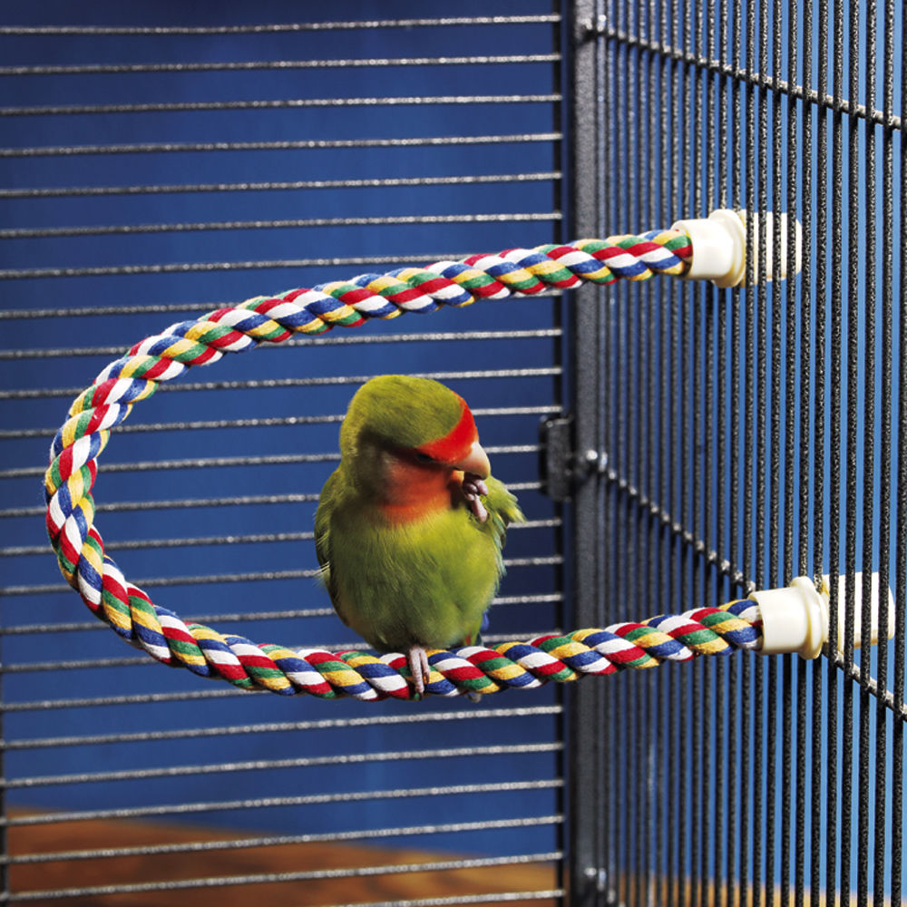 COMFY PERCH 14IN MED