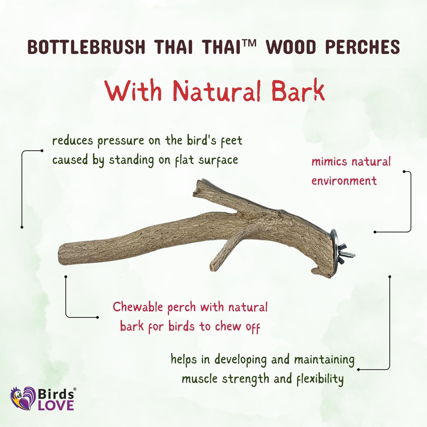 Birds LOVE Bottlebrush Thai Wood Bird Perches for Parakeets, Finches, Cockatiels, Conures, Budgies - Parrot Perch Stand & Bird Cage Accessories - Pack of 2 Small Perches…