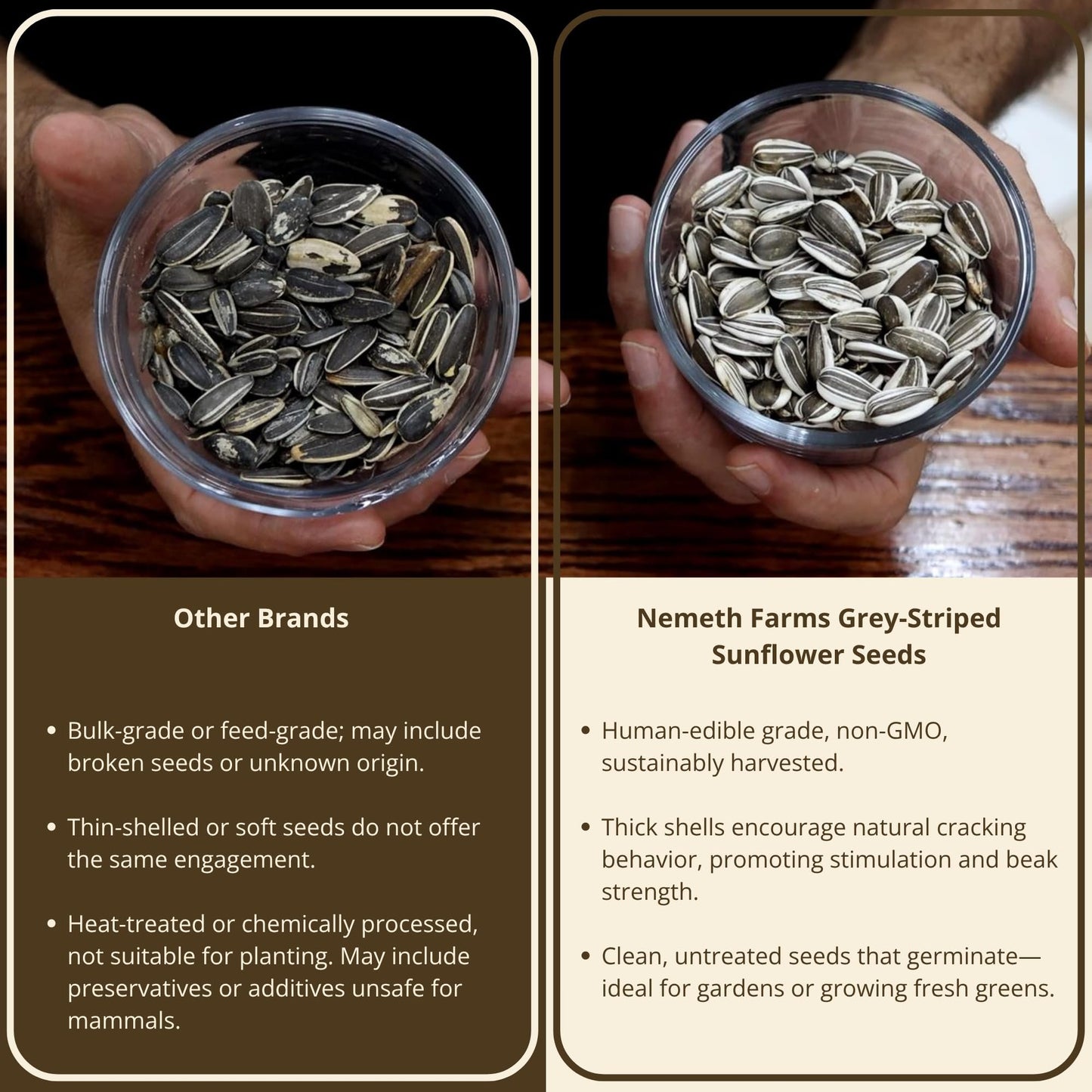 Nemeth Farms - 5 Lb Bag | Premium Gray Striped Sunflower Seeds for Birds - Natural Sunflower Seeds Bird Food | Non-GMO, Feeder-Ready & Plantable