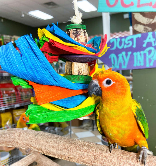 Birds LOVE Corn leaf Party Parrot Toy for Small to Medium Birds to Gnaw, Chew and Play