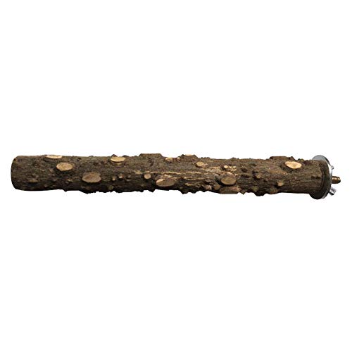 Birds LOVE PepperWood Perch SM