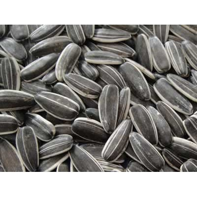 Volkman Black Stripe Sunflower Seeds, 2.5 lbs