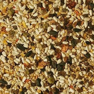 Volkman Avian Science Parrotlet Food, 20 lbs