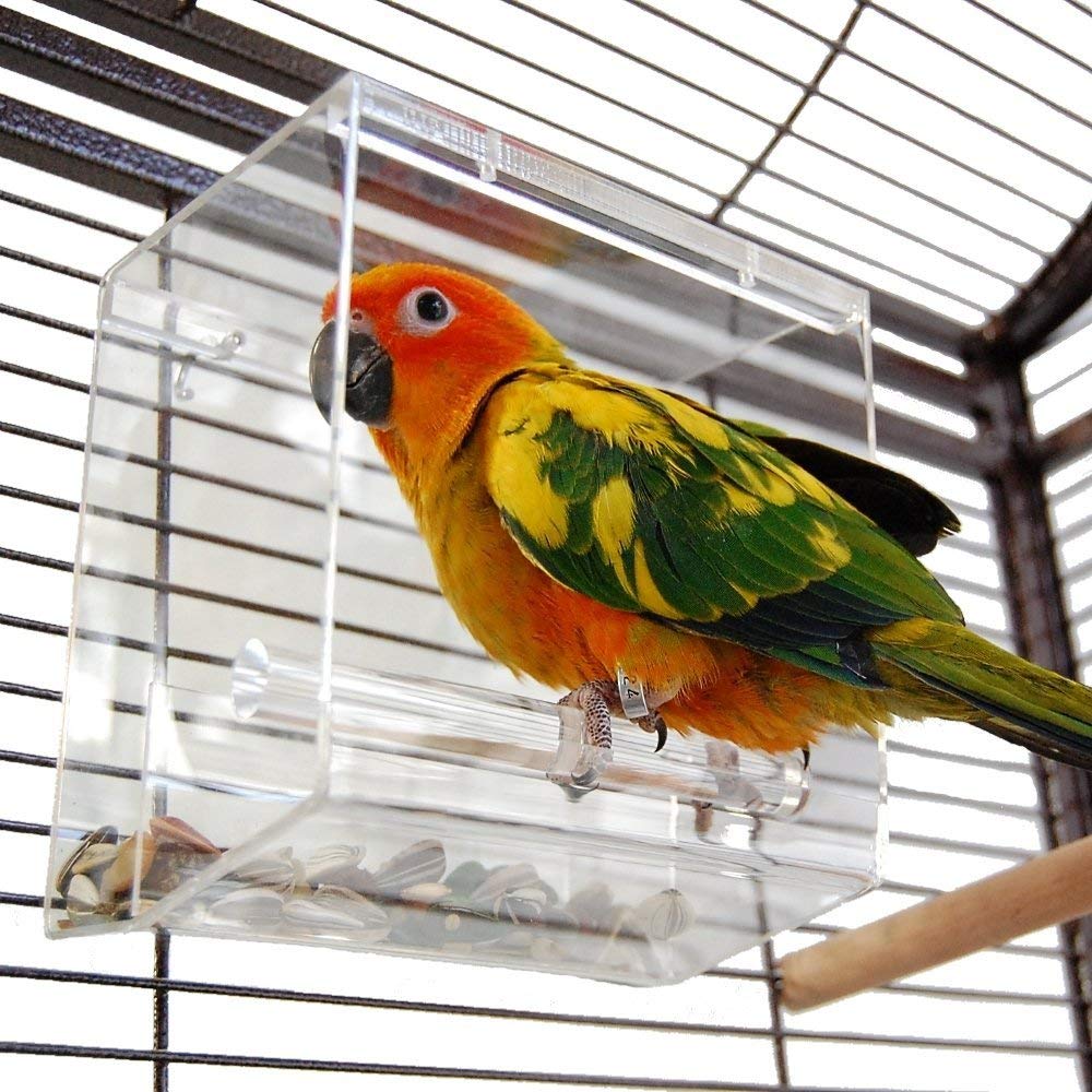Tidy Seed No-Mess Bird Feeder, Small