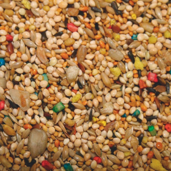 ABBA 1900 Finch Food 2lb