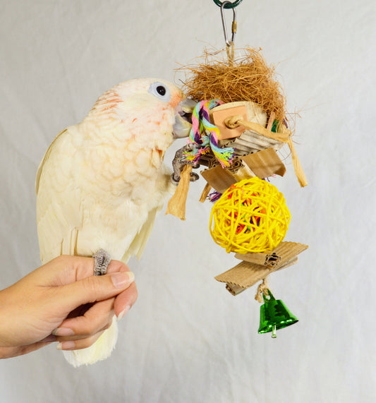 CUP OF FUN WITH BELL