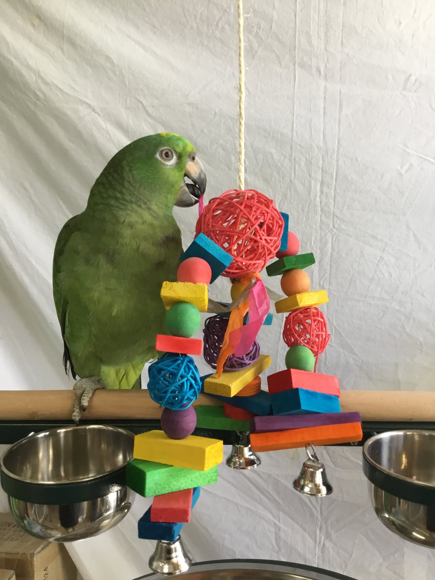 Birds LOVE Arching Vineball Slats