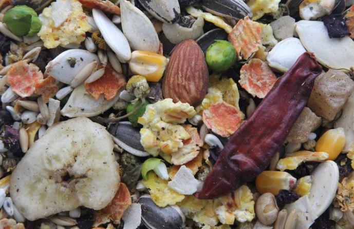 Higgins Large Tikal Blend Hookbills, 3 lbs