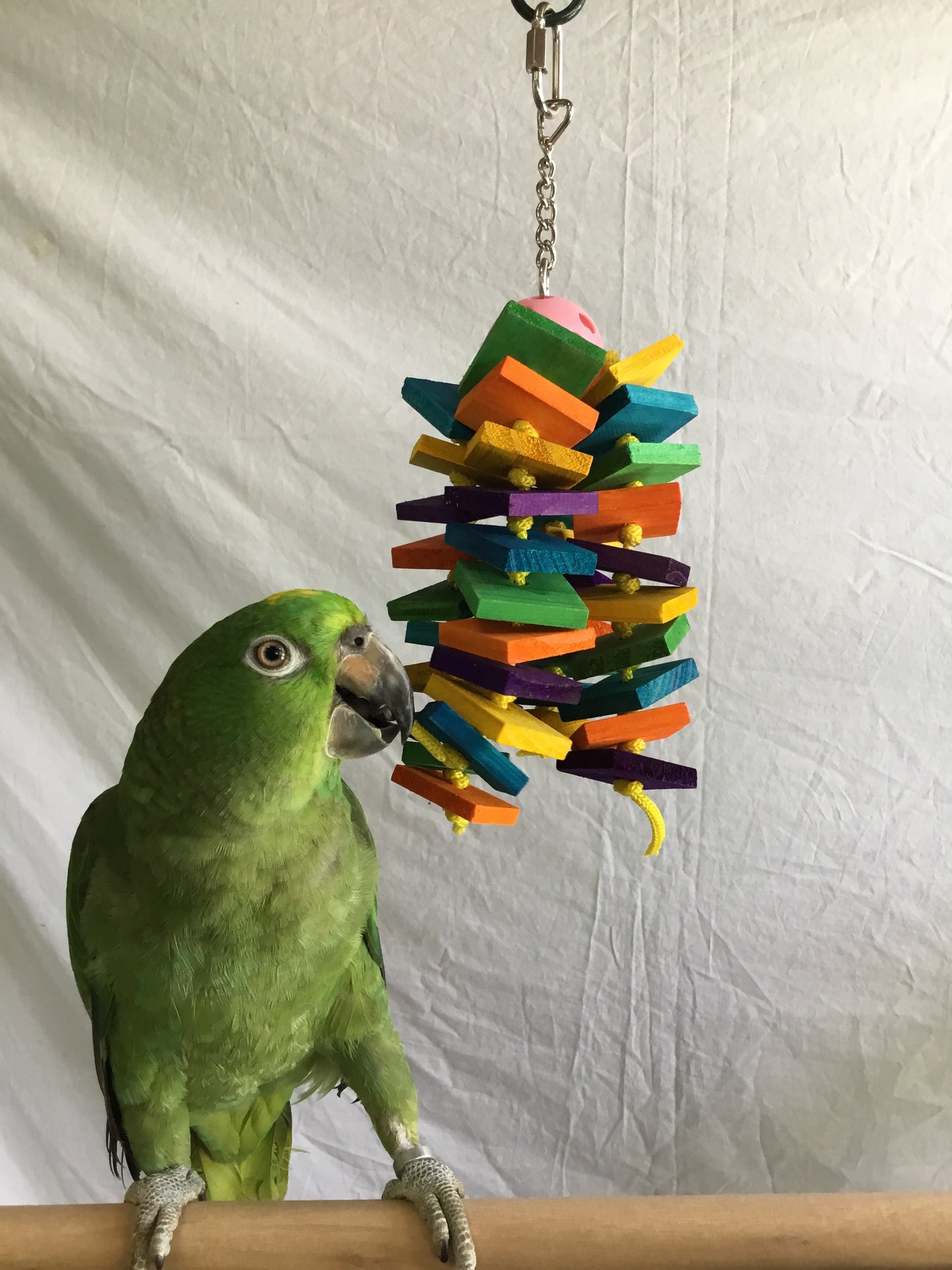 Birds LOVE Plasic Ball 4 Strand, Small