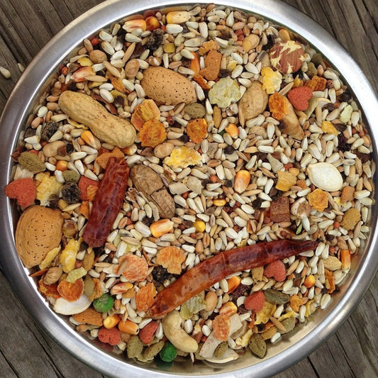 Higgins Safflower Gold Natural Food Mix for Parrots, 3 lbs