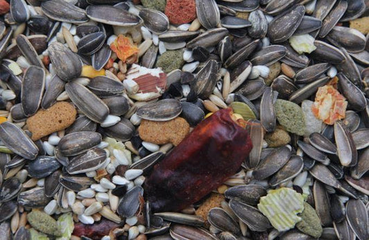 Higgins Vita Seed Parrot Food, 5lbs