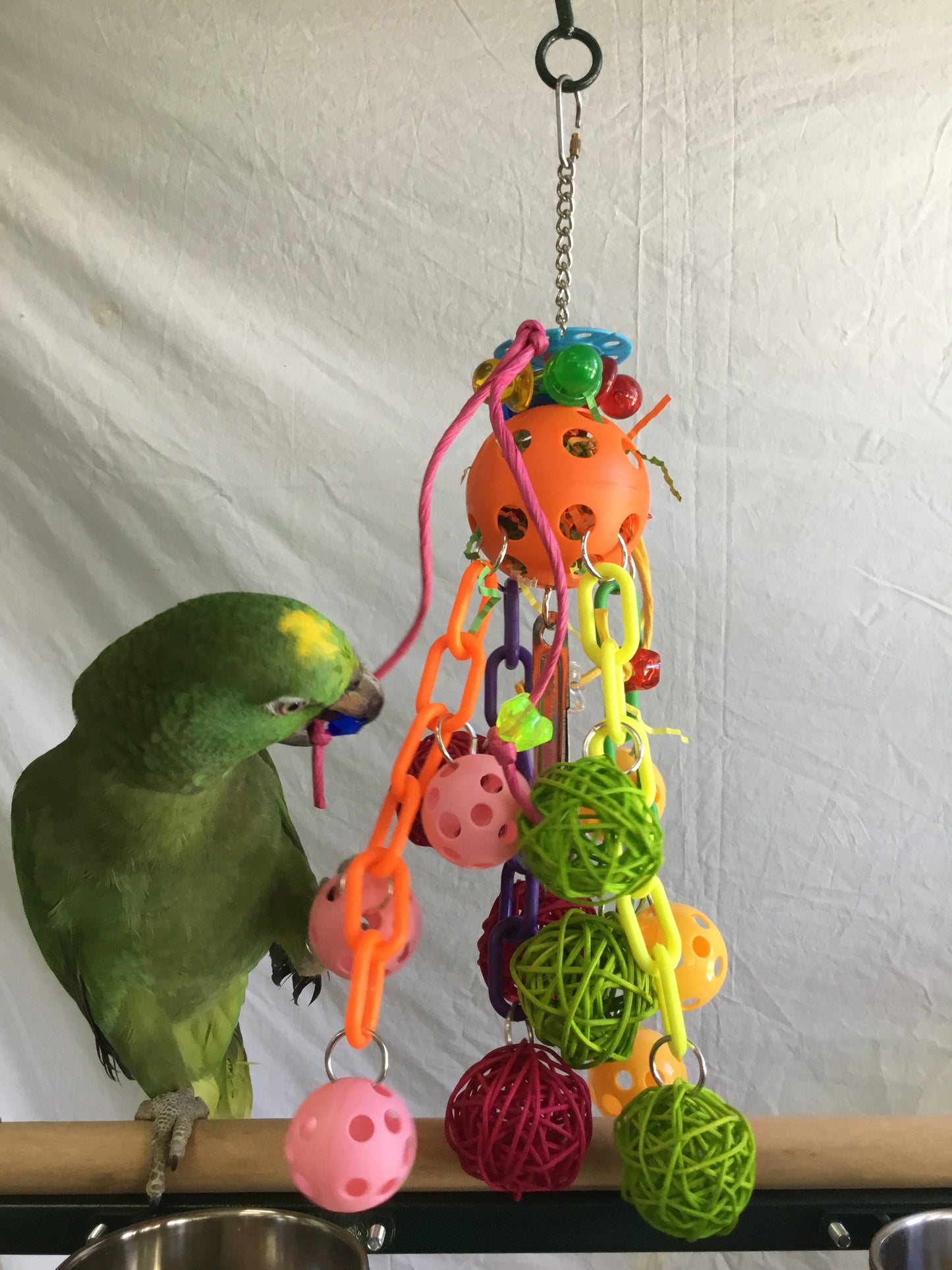 Birds LOVE Solar Fun