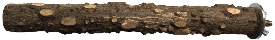 Birds LOVE Bottlebrush Wood Bird Cage Perch