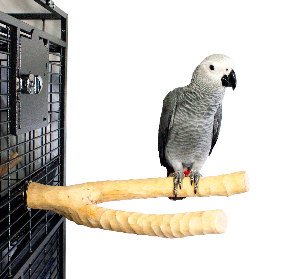 Birds LOVE Handcrafted Coffeewood Perches