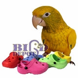 Bird Foot Toys