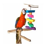 Grahams Bird Toys