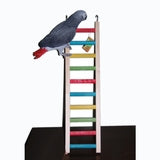 Ladders