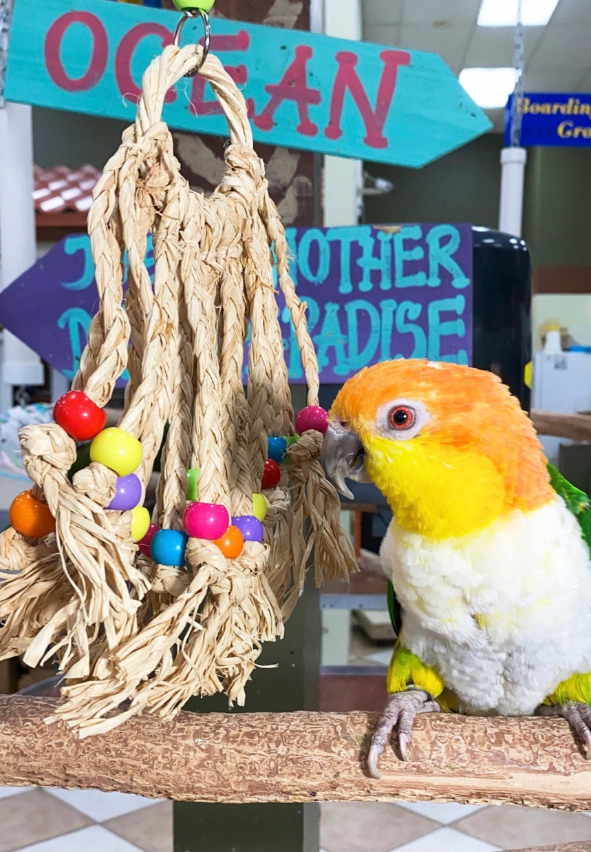 Birds Love Dream Catcher