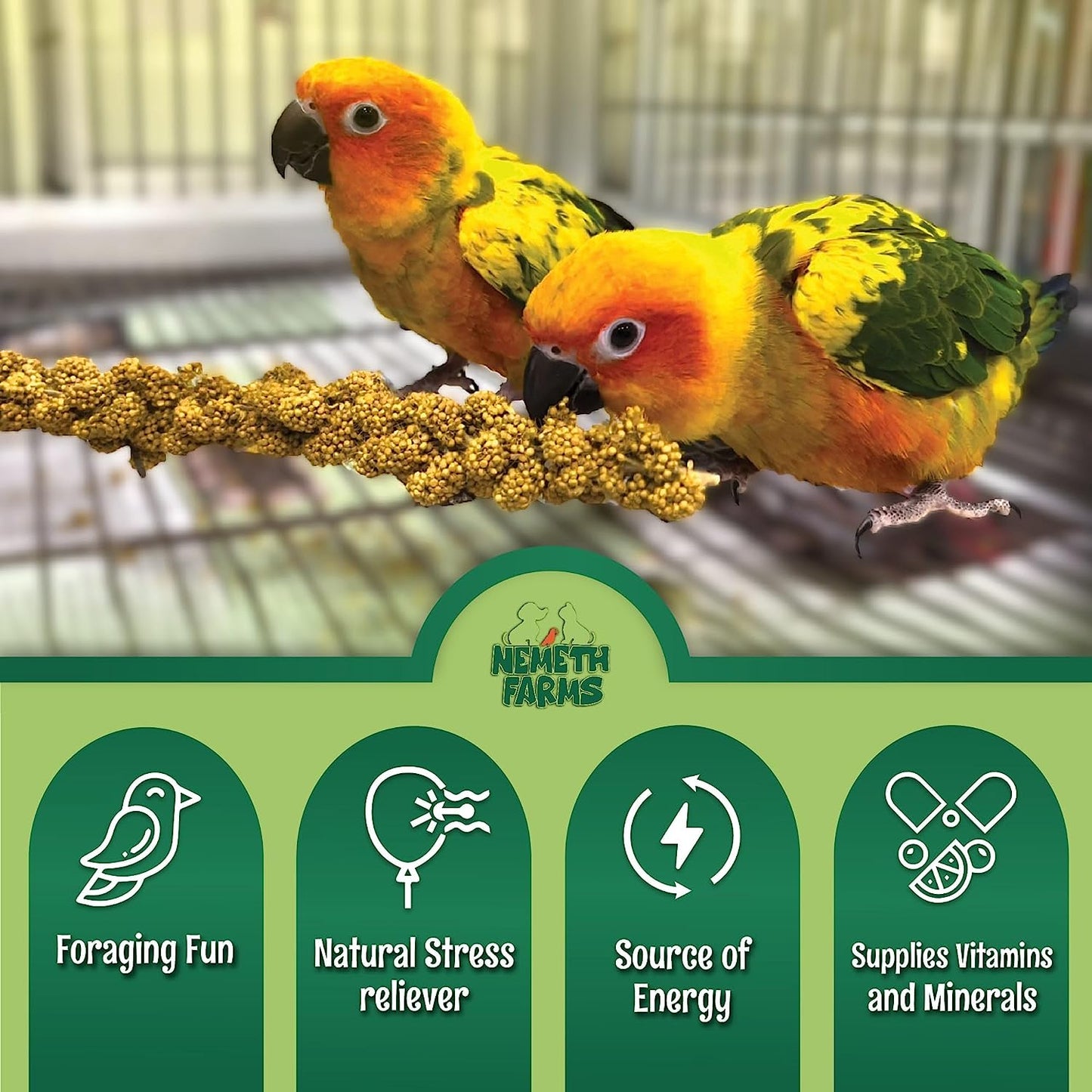 Nemeth Farms Worlds Freshest Sun-Dried Spray Millet 5lb