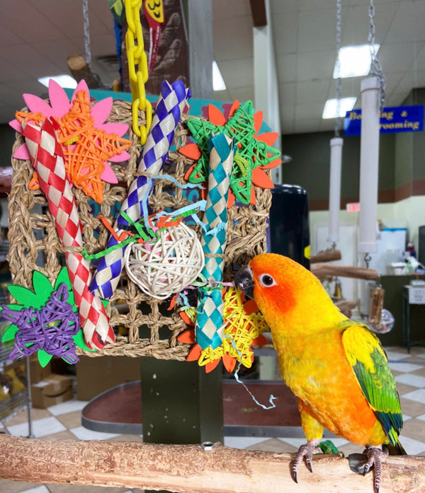 Birds LOVE Flower Net Climbing Parrot Toy