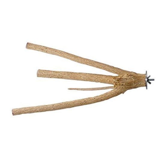 Bottlebrush Perch, Medium