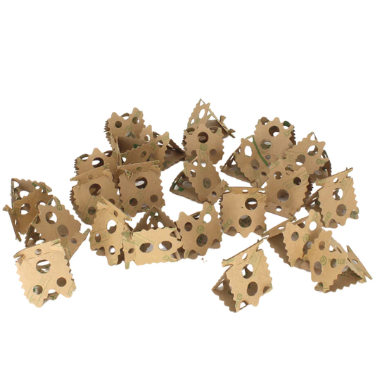 Foraging Card Crumbles 24pc