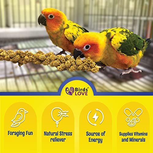 Birds LOVE Economy & Thin Special Spray Millet GMO-Free No Pesticides (No Stems Only Edible Tops) for Birds Cockatiel Lovebird Parakeet Finch Canary All Parrots Healthy Treat - 7oz (2pk)