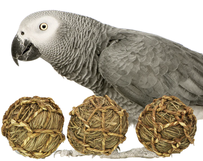 SEAGRASS BALL 3PK