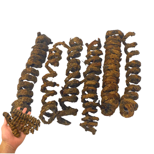 WINE PALM SPRINGS 6PK
