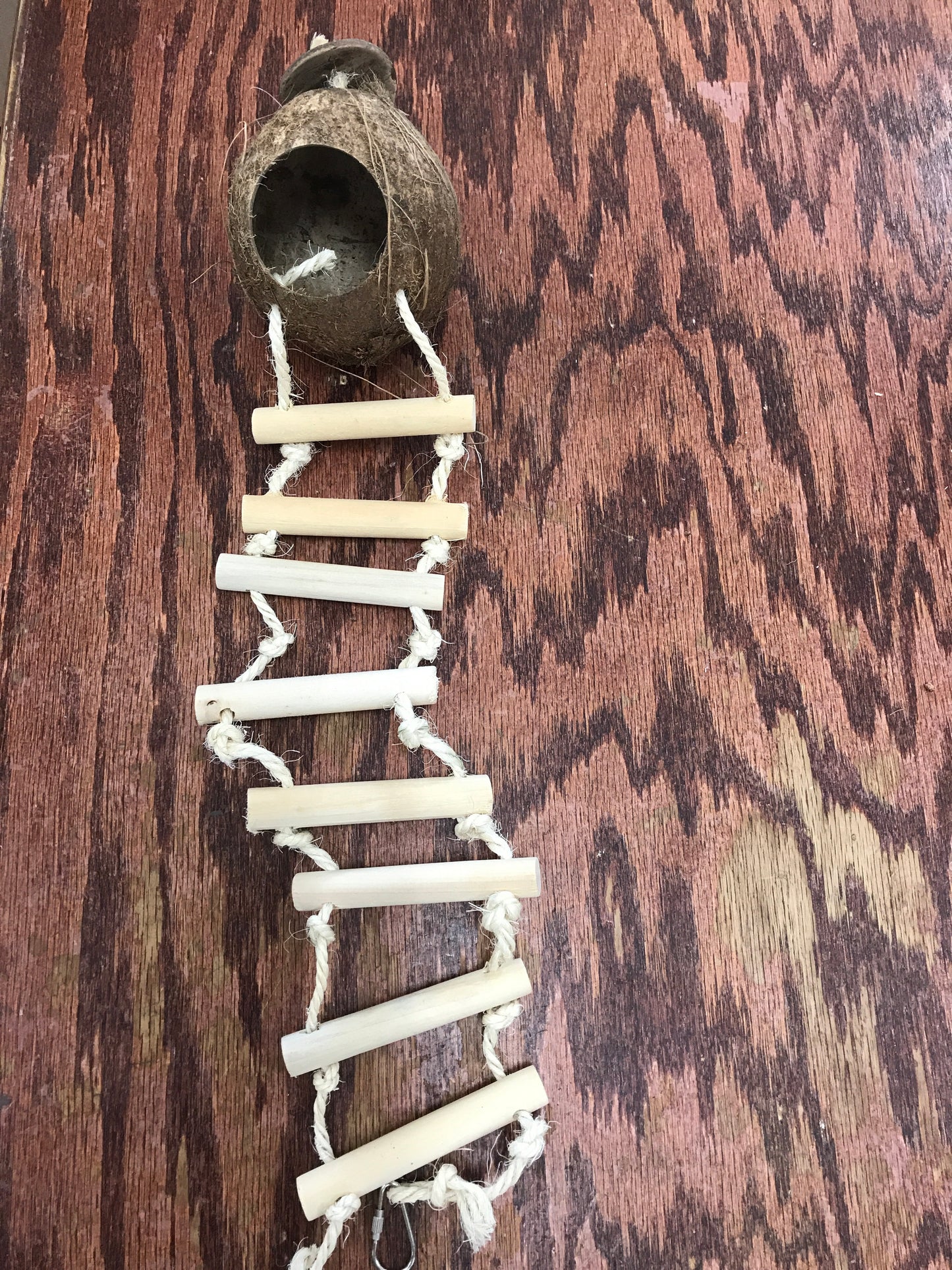 COCONUT HUT SHELLED LADDER
