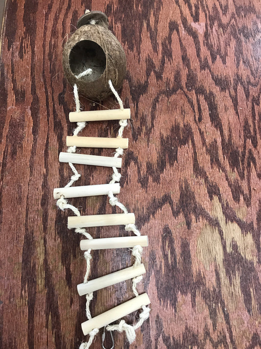 COCONUT HUT SHELLED LADDER