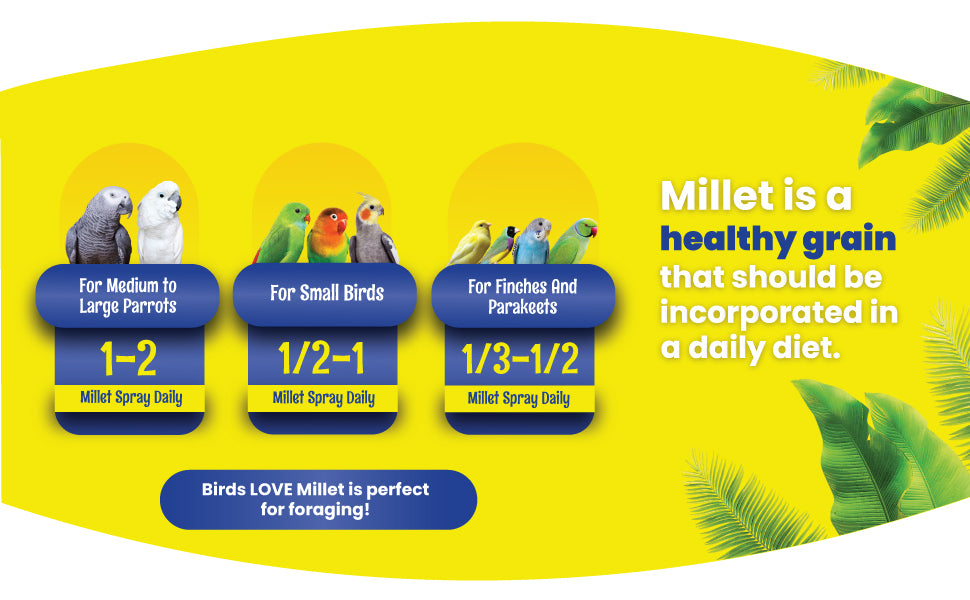 Birds LOVE French Kissed Spray Millet for Birds - info