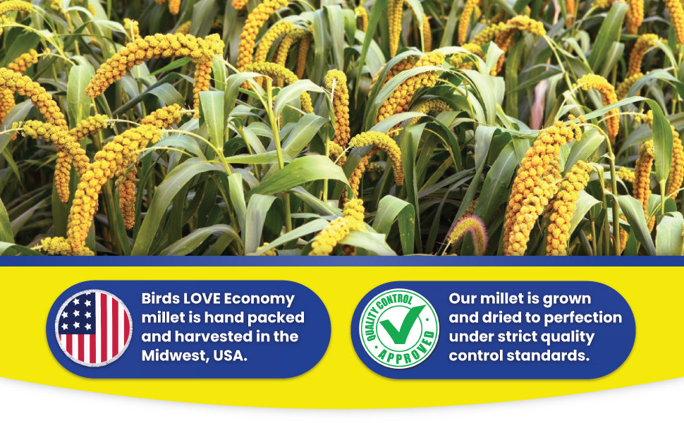Birds LOVE Economy & Special Spray Millet info