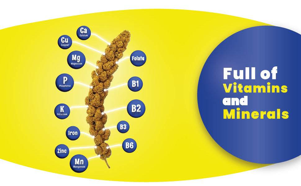 Birds LOVE Economy & Special Spray Millet info