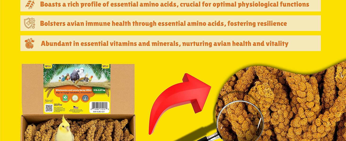 Birds LOVE Spray Millet – 1 lb GMO-Free, No Stems - info