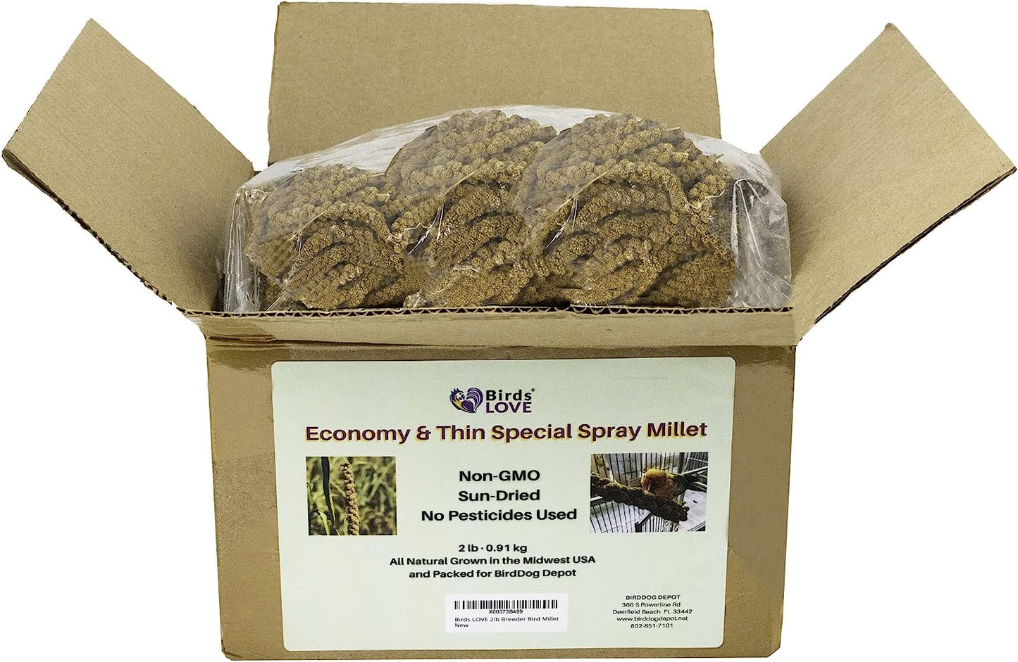 Birds LOVE Economy & Thin Special Spray Millet GMO-Free No Pesticides (No Stems Only Edible Tops) for Birds Cockatiel Lovebird Parakeet Finch Canary All Parrots Healthy Treat - 2lbs