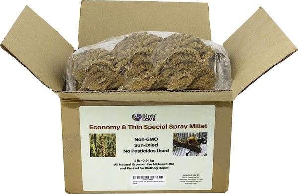 Birds LOVE Economy & Thin Special Spray Millet GMO-Free No Pesticides (No Stems Only Edible Tops) for Birds Cockatiel Lovebird Parakeet Finch Canary All Parrots Healthy Treat - 2lbs