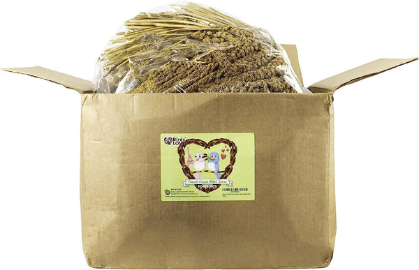Birds LOVE French Kissed Bird Millet 25lbs