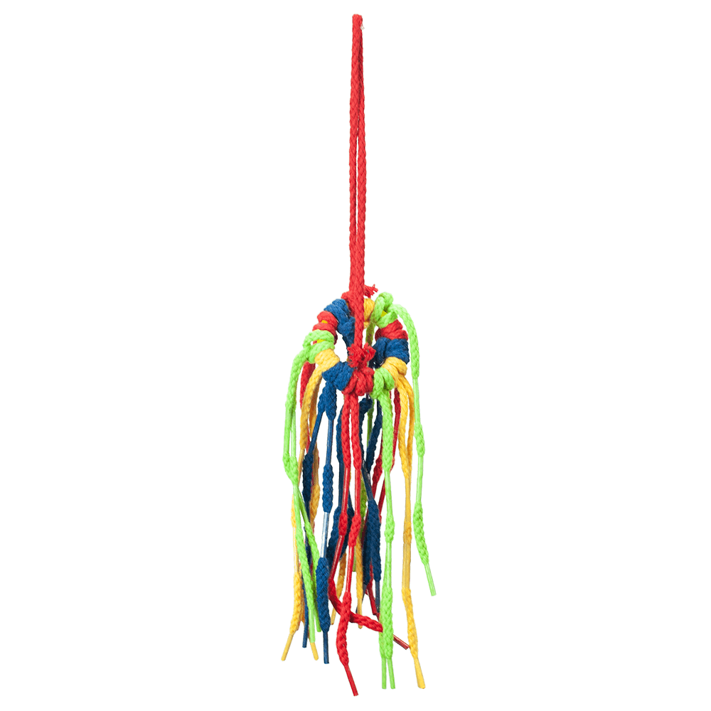 SHOE LACE SHOWER SM
