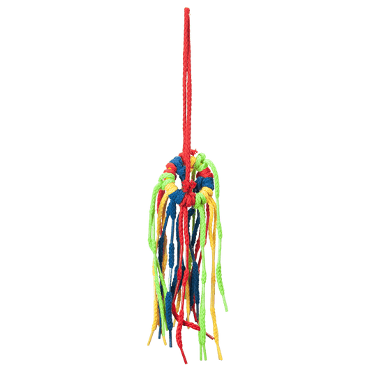 SHOE LACE SHOWER SM