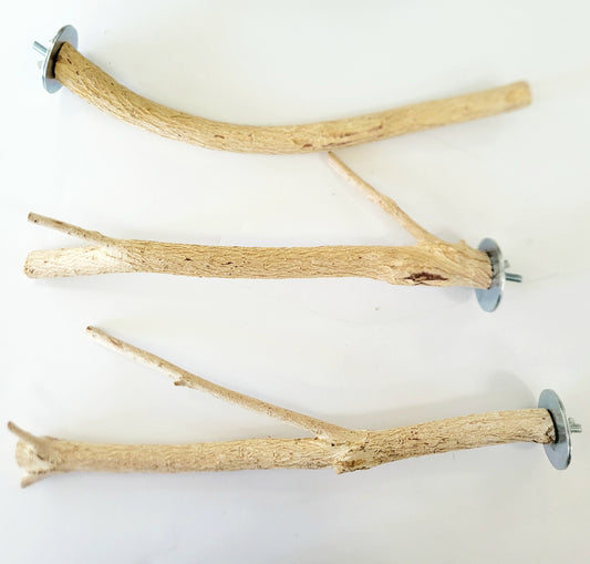 Bottlebrush Perch, Medium