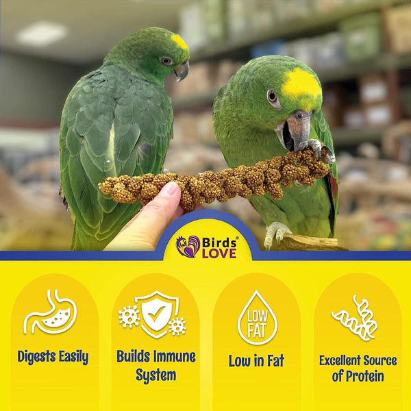 Birds LOVE Economy & Thin Special Spray Millet GMO-Free No Pesticides (No Stems Only Edible Tops) for Birds Cockatiel Lovebird Parakeet Finch Canary All Parrots Healthy Treat-9oz