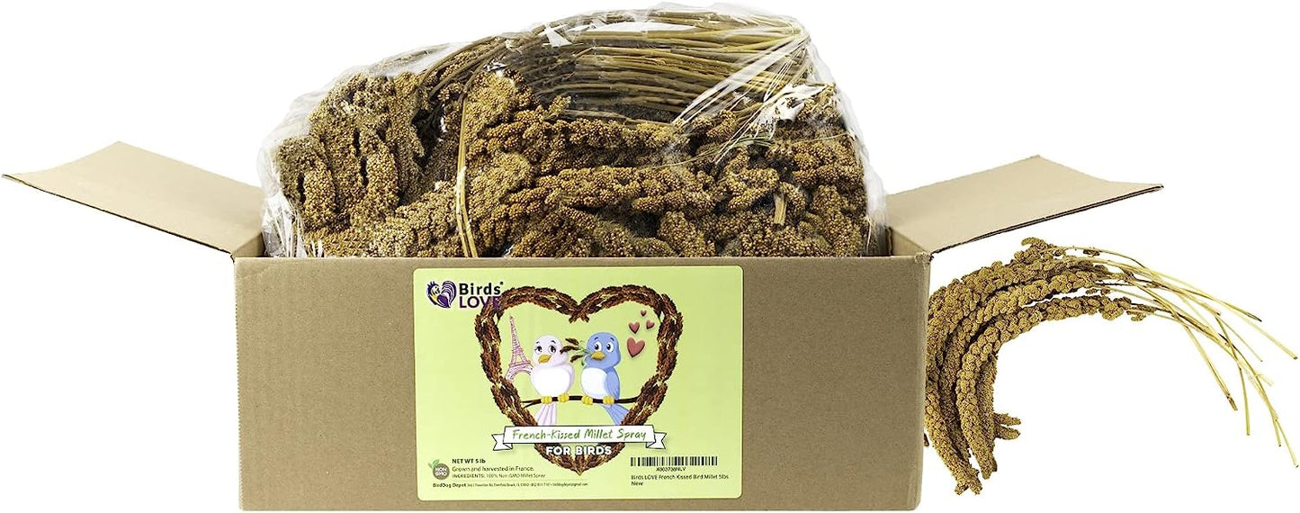 Birds LOVE French Kissed Bird Millet 5lb