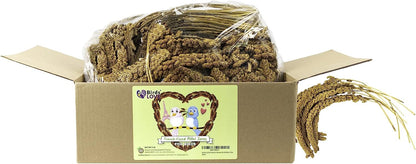 Birds LOVE French Kissed Bird Millet 5lb