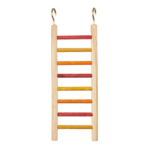 10in PARAKEET LADDER