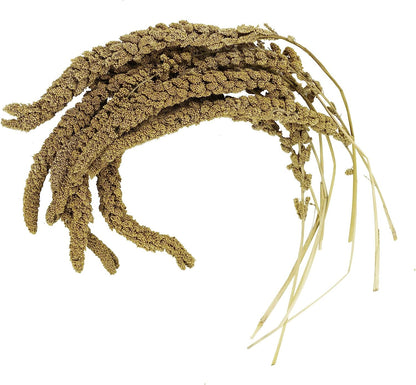 Birds LOVE French Kissed Bird Millet 25lbs