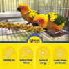 Birds LOVE Economy & Thin Special Spray Millet GMO-Free No Pesticides (No Stems Only Edible Tops) for Birds Cockatiel Lovebird Parakeet Finch Canary All Parrots Healthy Treat-1lb