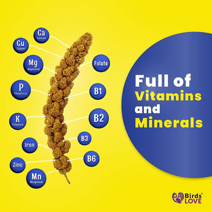 Birds LOVE Economy & Thin Special Spray Millet GMO-Free No Pesticides (No Stems Only Edible Tops) for Birds Cockatiel Lovebird Parakeet Finch Canary All Parrots Healthy Treat-5lbs