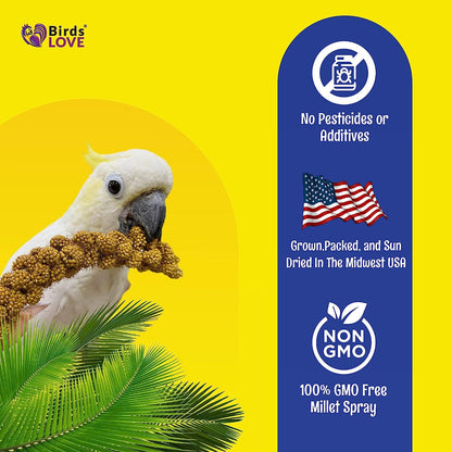 Birds LOVE Economy & Thin Special Spray Millet GMO-Free No Pesticides (No Stems Only Edible Tops) for Birds Cockatiel Lovebird Parakeet Finch Canary All Parrots Healthy Treat - 2lbs